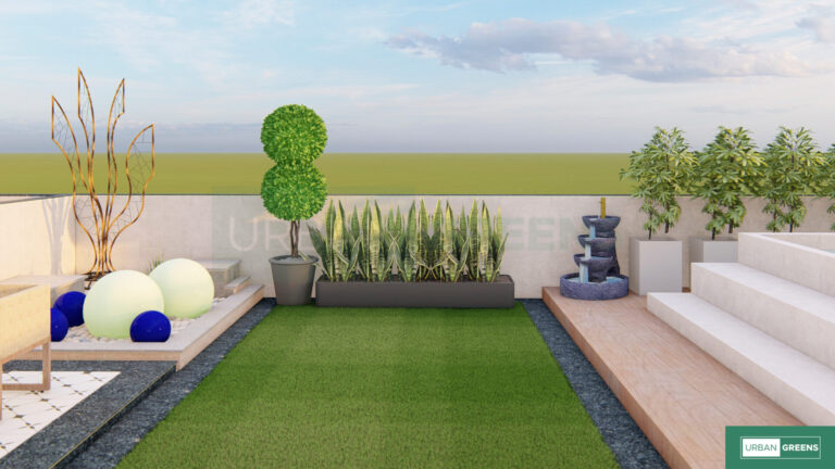Terrace Garden Grass and plants